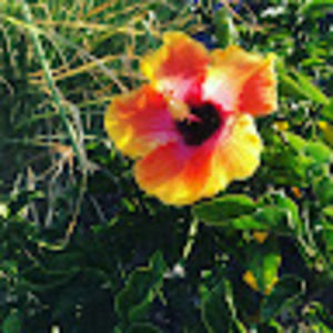 Meet your Posher, Catherine johnson